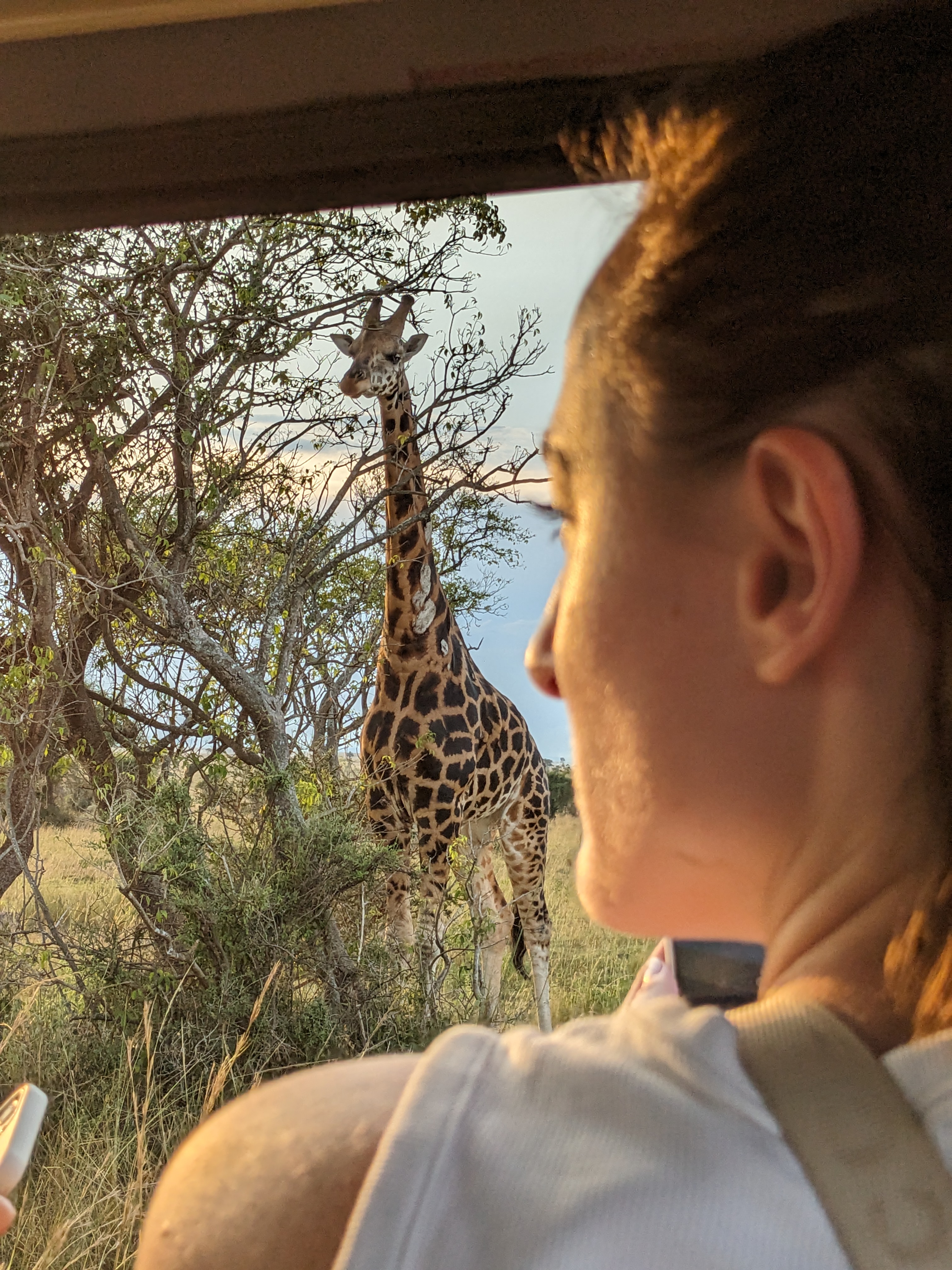 Game Drive in Murchison Falls National Park - Popular safari activity in East Africa with 0 tour packages