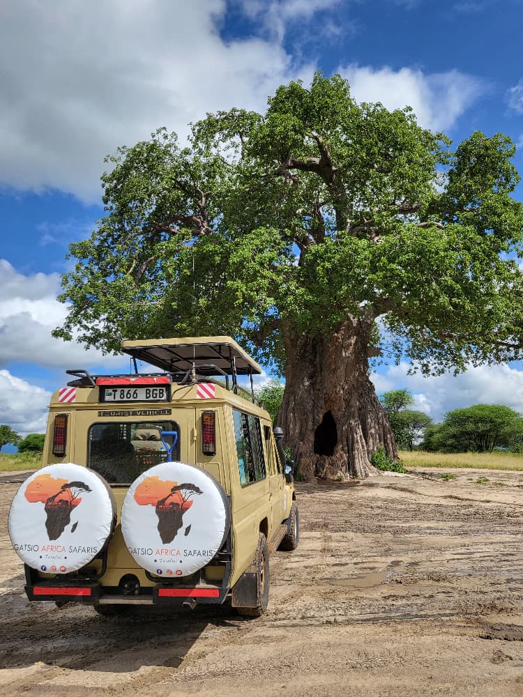 Featured Tanzania Wildlife & Beach Safari safari package in East Africa